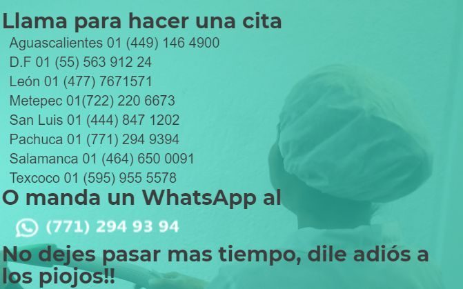 Solucion para problema de piojos